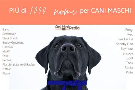 1000 NOMI belli e originali per CANI: Dalla A alla Z .